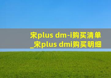 宋plus dm-i购买清单_宋plus dmi购买明细